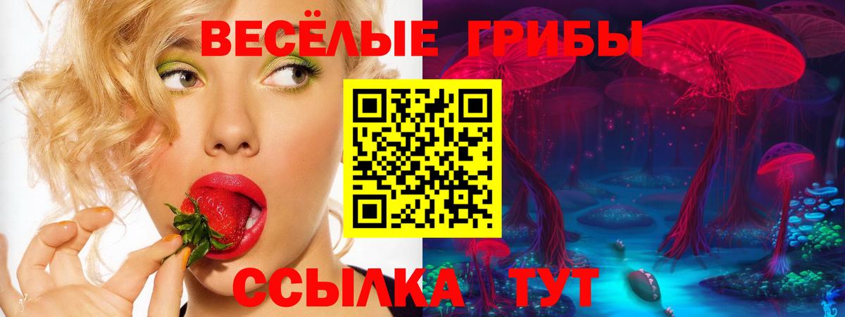 Галлюциногенные грибы GOLDEN TEACHER Еманжелинск
